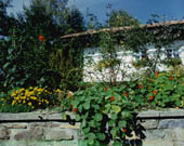 Haus mit blühendem Garten